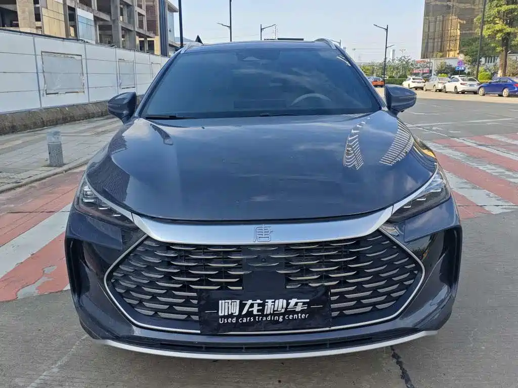 BYD Tang New Energy — миниатюра 2