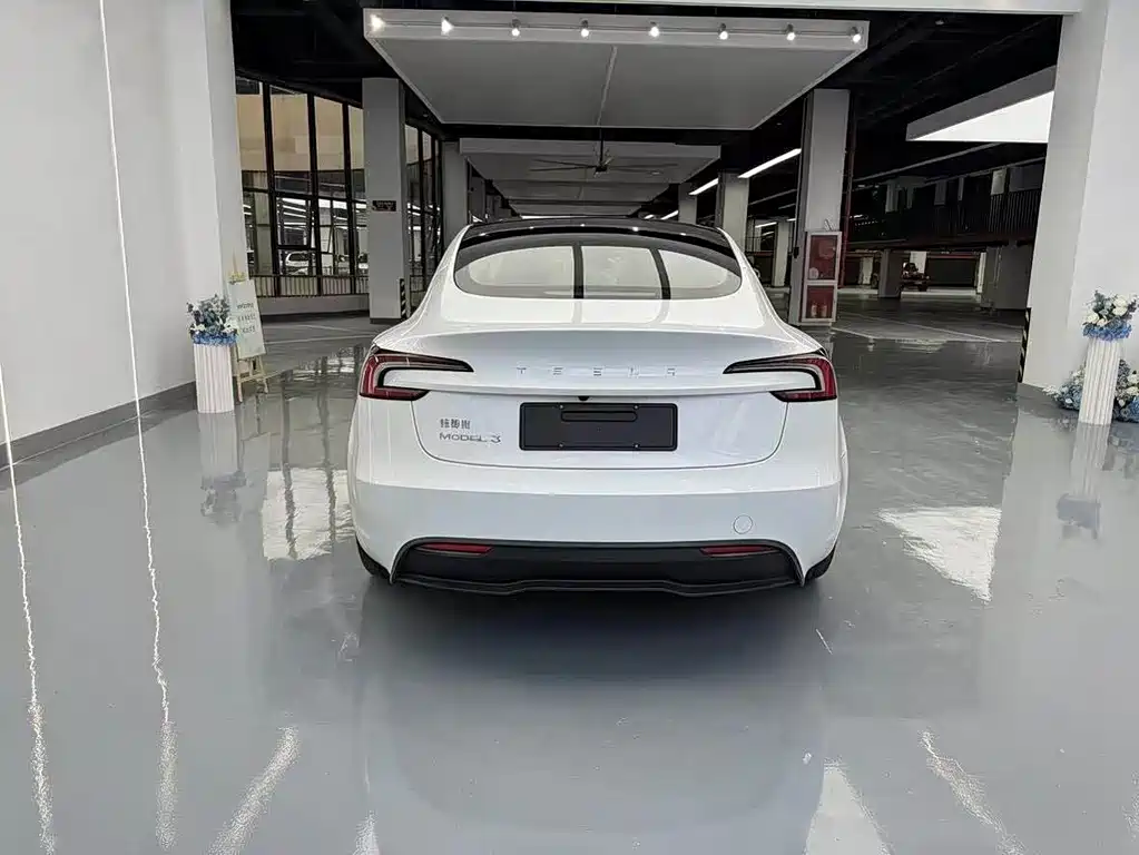 Tesla Model 3 — миниатюра 15