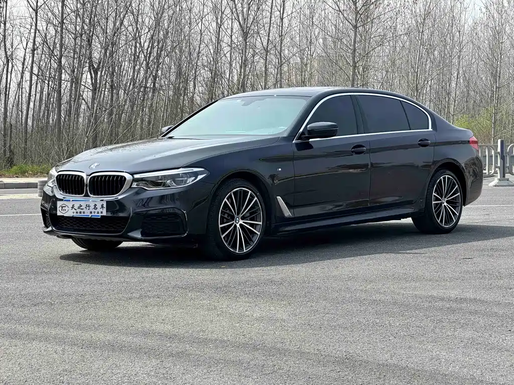 BMW 5 Series 2020