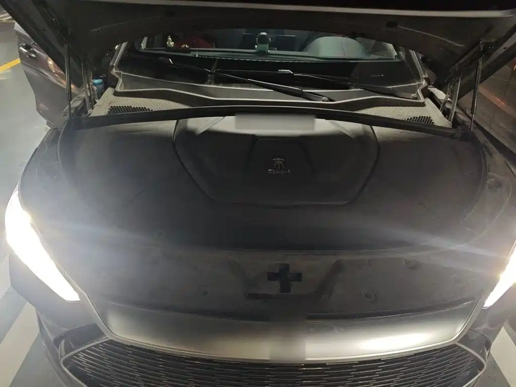 BYD PLUS New Energy — миниатюра 11