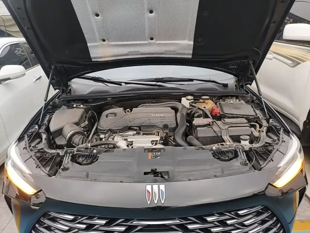 Buick Regal — миниатюра 20