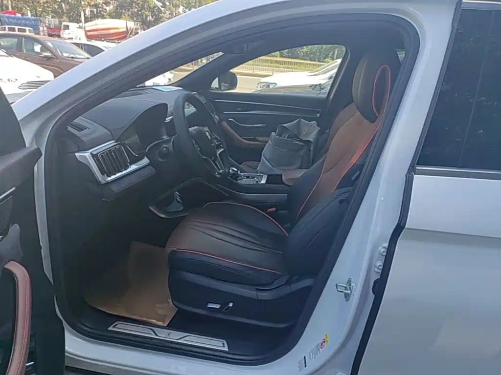 BYD PLUS — миниатюра 15
