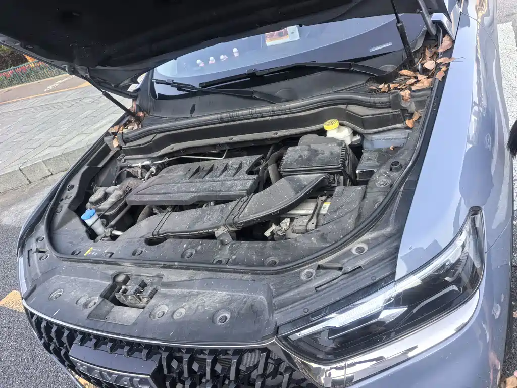 Haval H6 — миниатюра 14