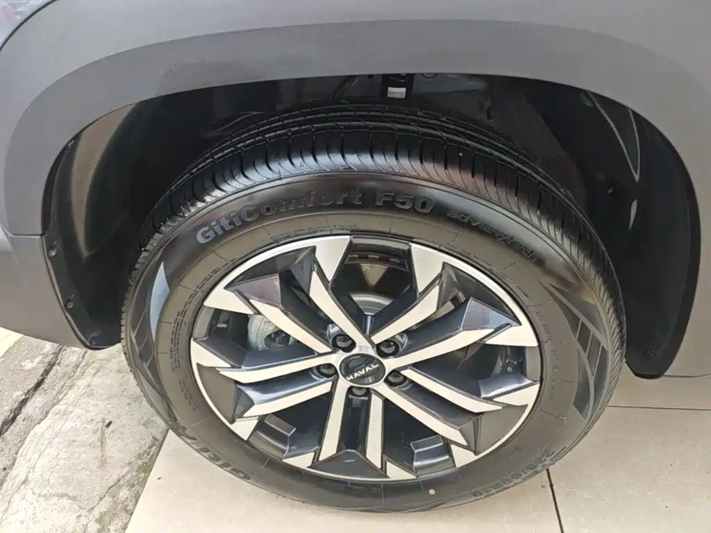 Haval Big Dog — миниатюра 23