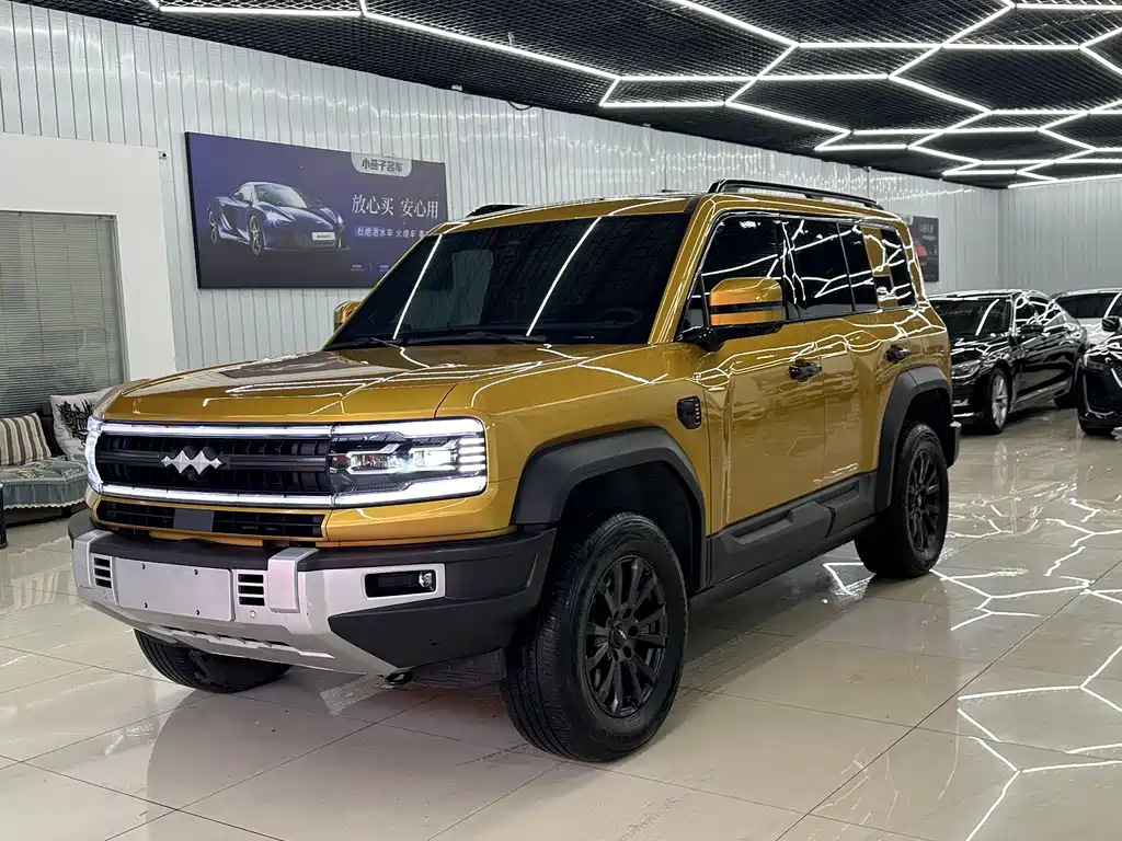 FANG CHENG BAO LEOPARD 5