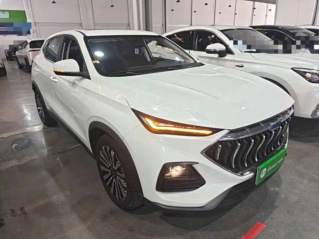 Oshan Oushang X5 — миниатюра 4