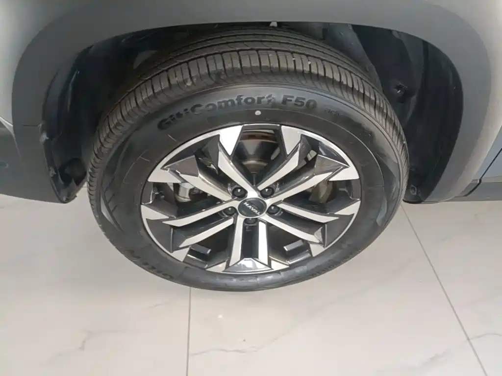 Haval Big Dog — миниатюра 23