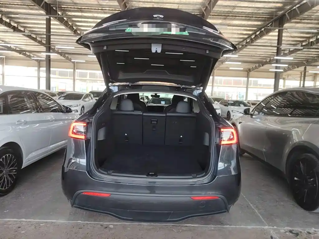 Tesla Model Y — миниатюра 19