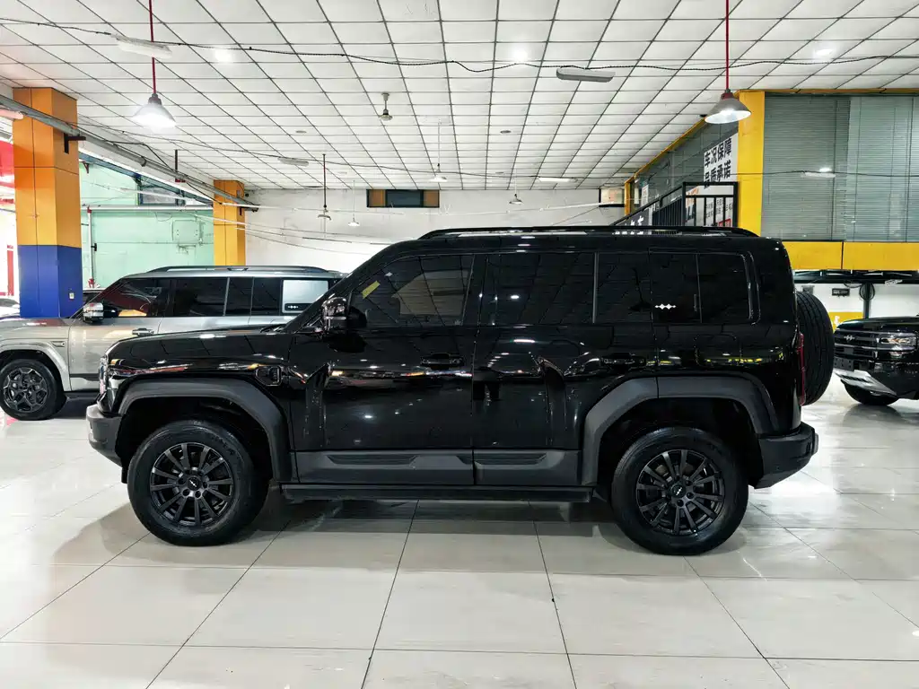 Fang Cheng Bao Leopard 5 — миниатюра 4