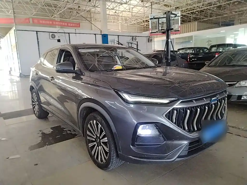 Oshan Oushang X5 — миниатюра 4