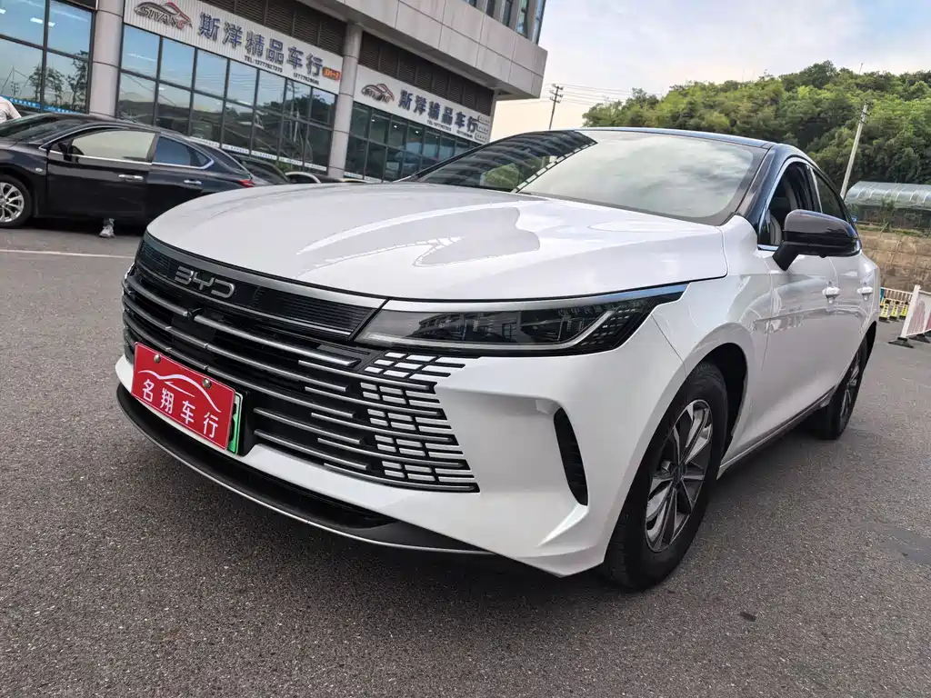 BYD Destroyer 05 2024 DM-i 55KM Luxury