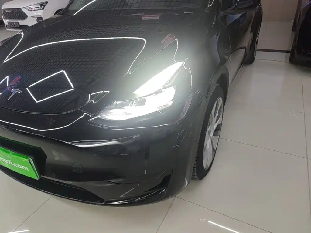 Tesla Model Y — миниатюра 24