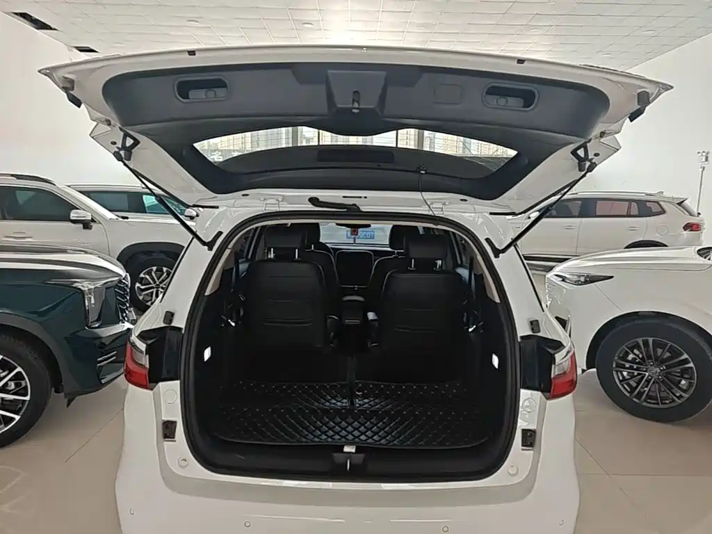 BYD MAX — миниатюра 19