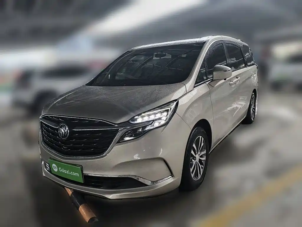 Buick GL8 — миниатюра 2
