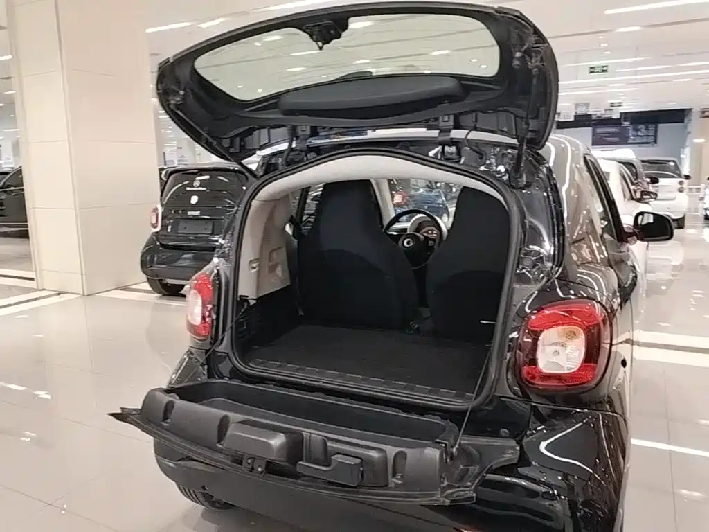 smart Smart Fortwo — миниатюра 19