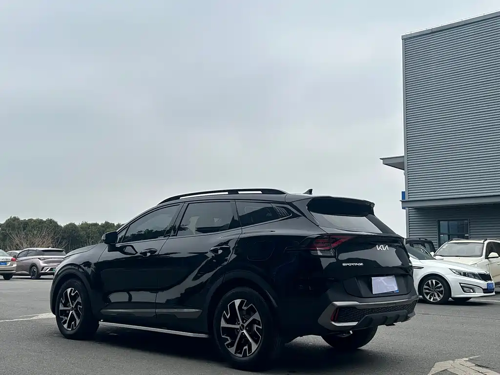 KIA LION PLATINUM EXPANDS THE WORLD