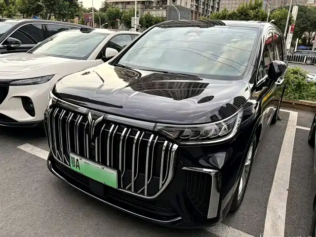2024 Voyah Dream