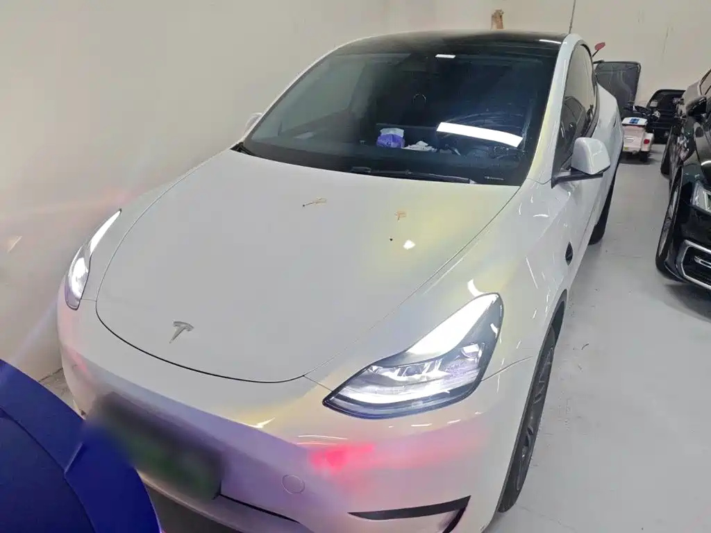 Tesla Model Y — миниатюра 3