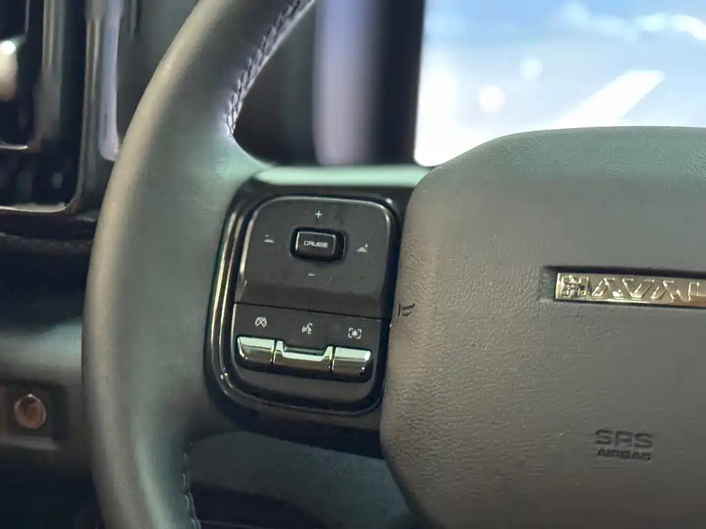 Haval Menglong New Energy — миниатюра 16