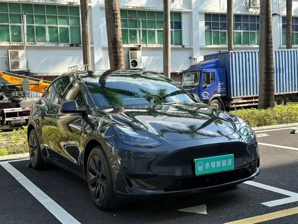 Tesla Model Y — миниатюра 11