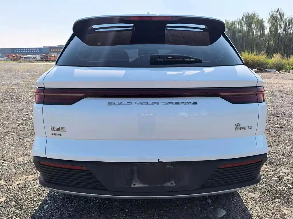 BYD Pro New Energy — миниатюра 5