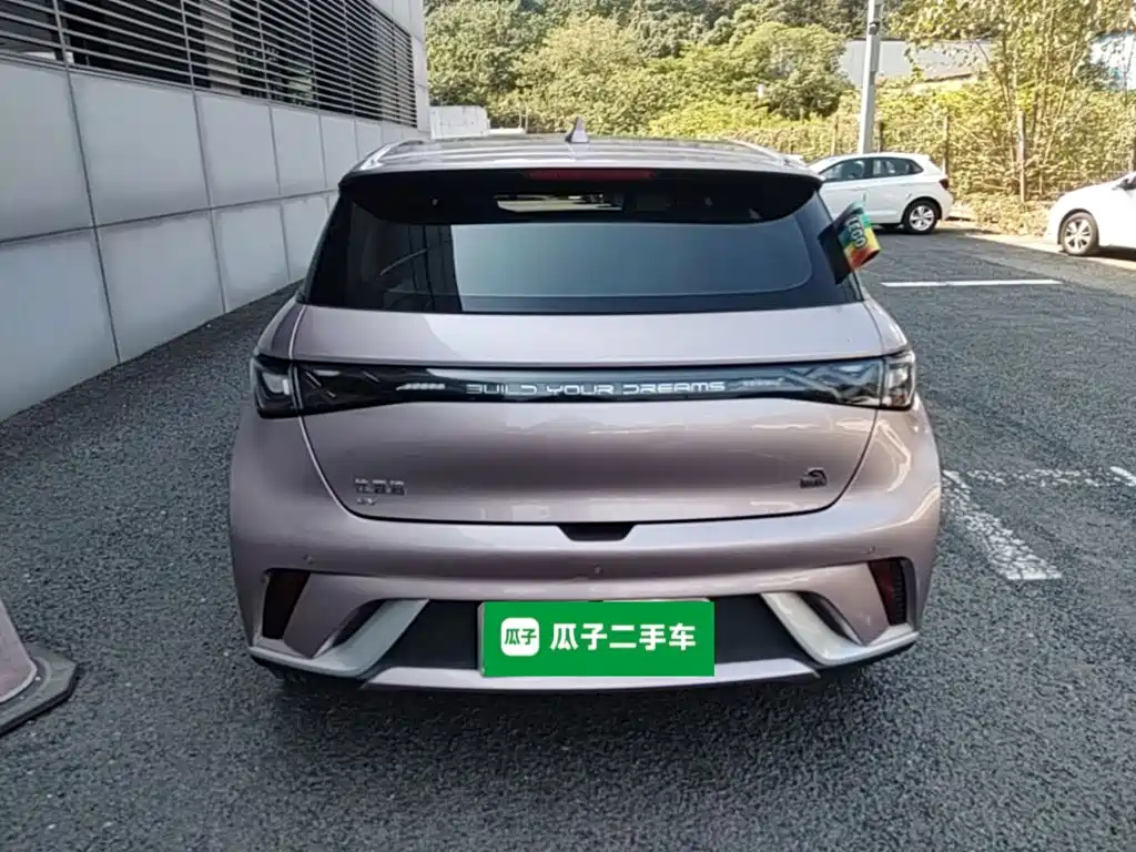 BYD Dolphin — миниатюра 6