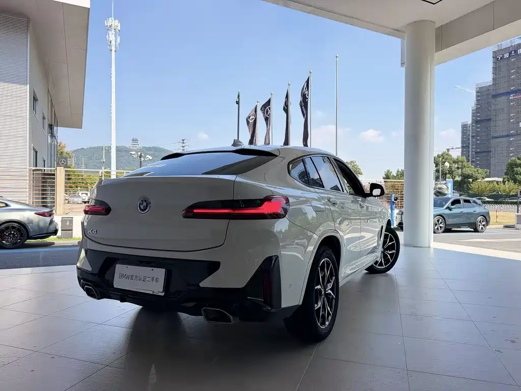 BMW X4 — миниатюра 6