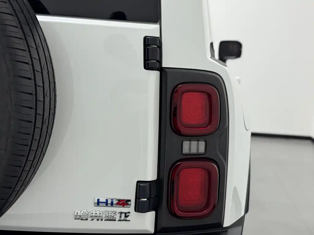 Haval Menglong New Energy — миниатюра 7
