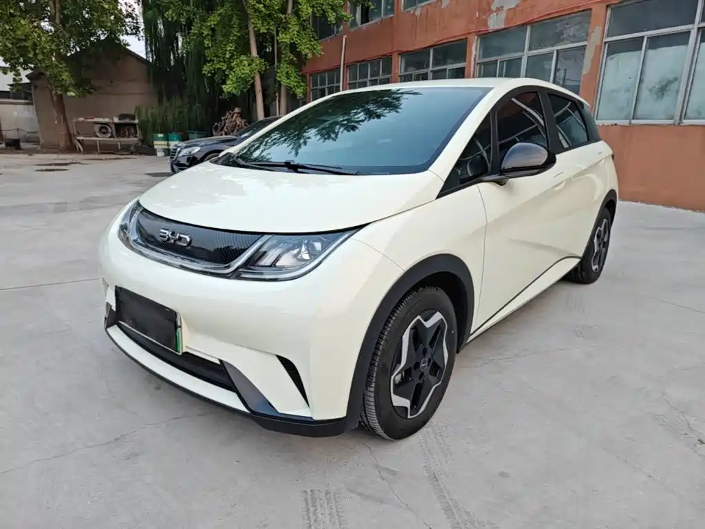 BYD Dolphin — миниатюра 2