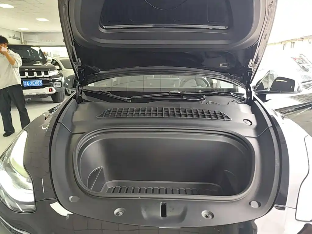 Tesla Model Y — миниатюра 20