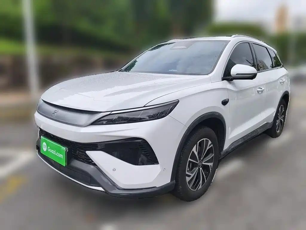 BYD Pro New Energy — миниатюра 2