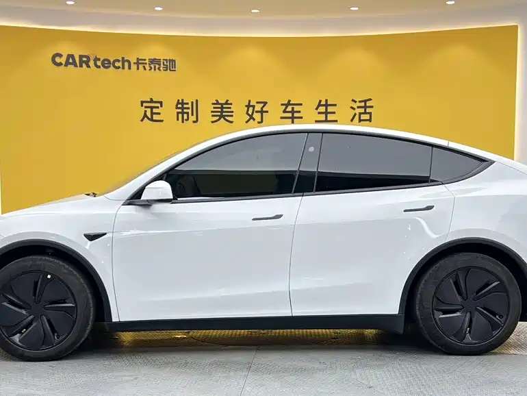 Tesla Model Y — миниатюра 7