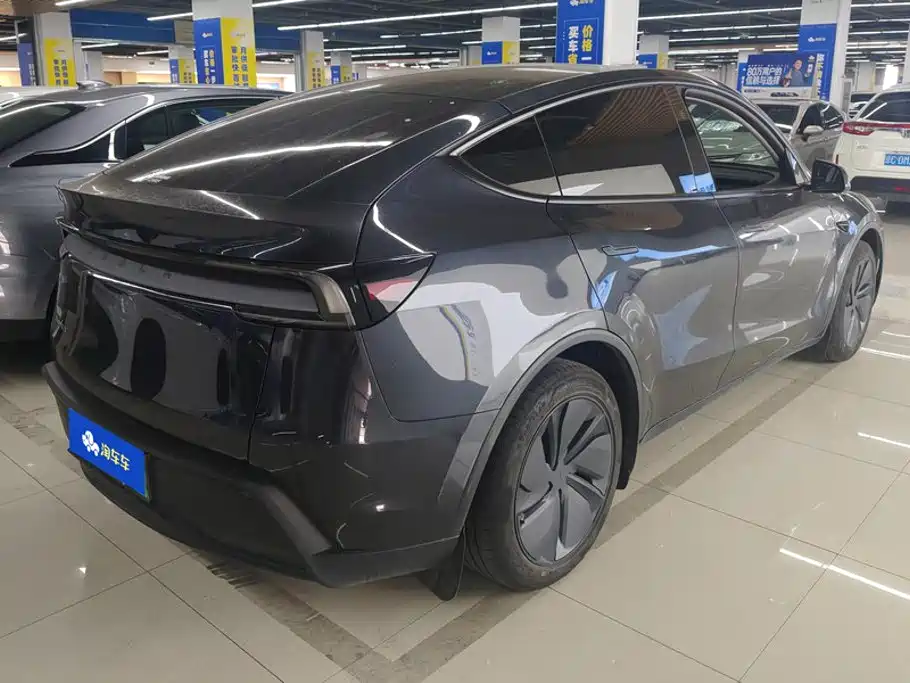 Tesla Model Y — миниатюра 3
