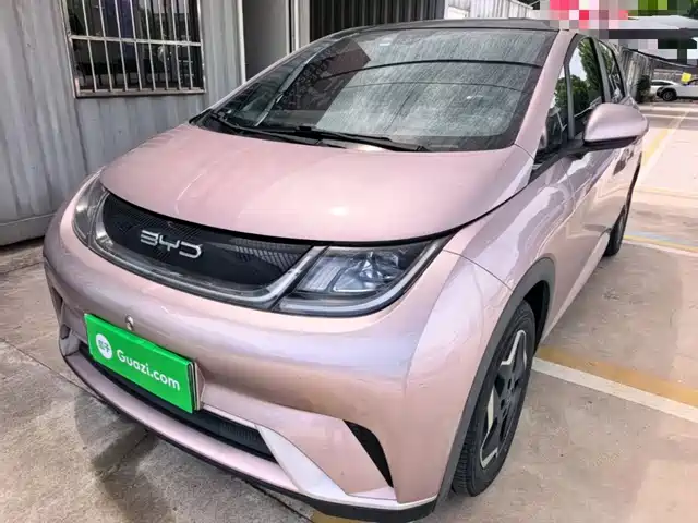 2022 BYD Dolphin