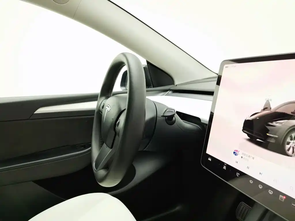 Tesla Model Y — миниатюра 22