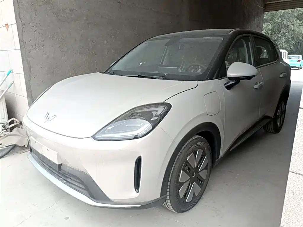 Wuling BinguoS S 2025 325km Premium