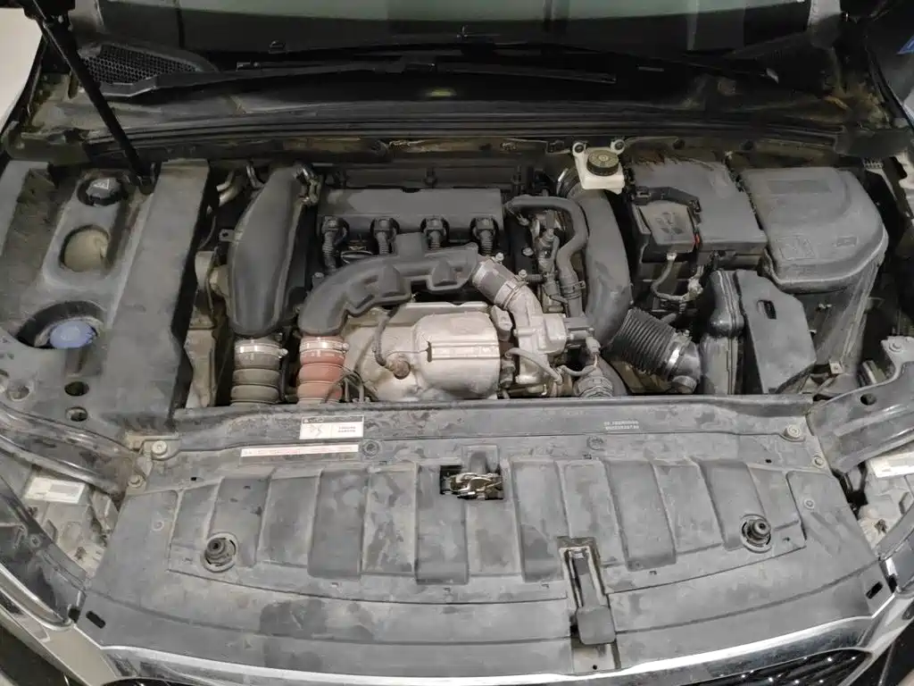 DS DS 5LS — миниатюра 21