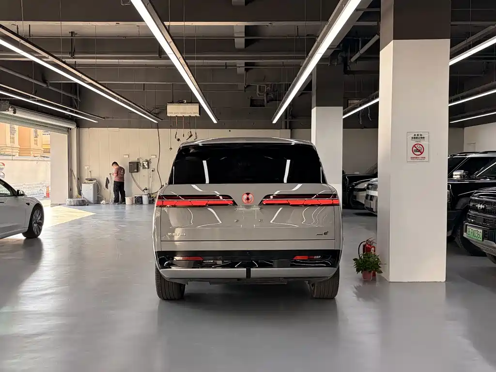 Denza Denza N9 — миниатюра 13