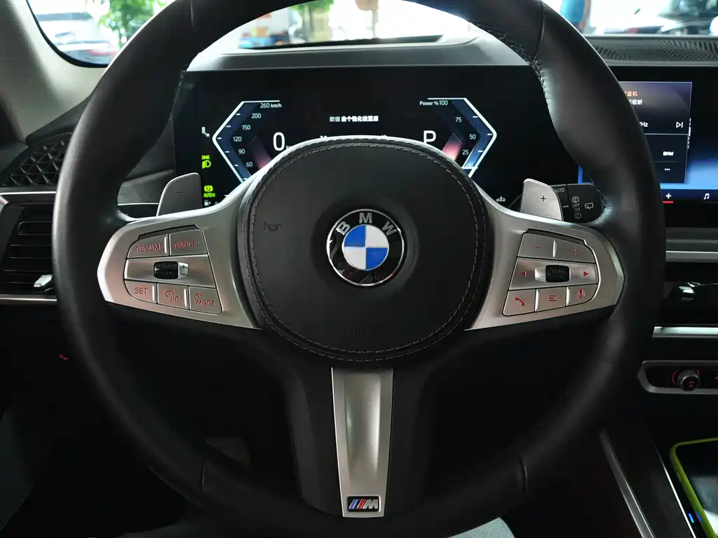 BMW X5 — миниатюра 8
