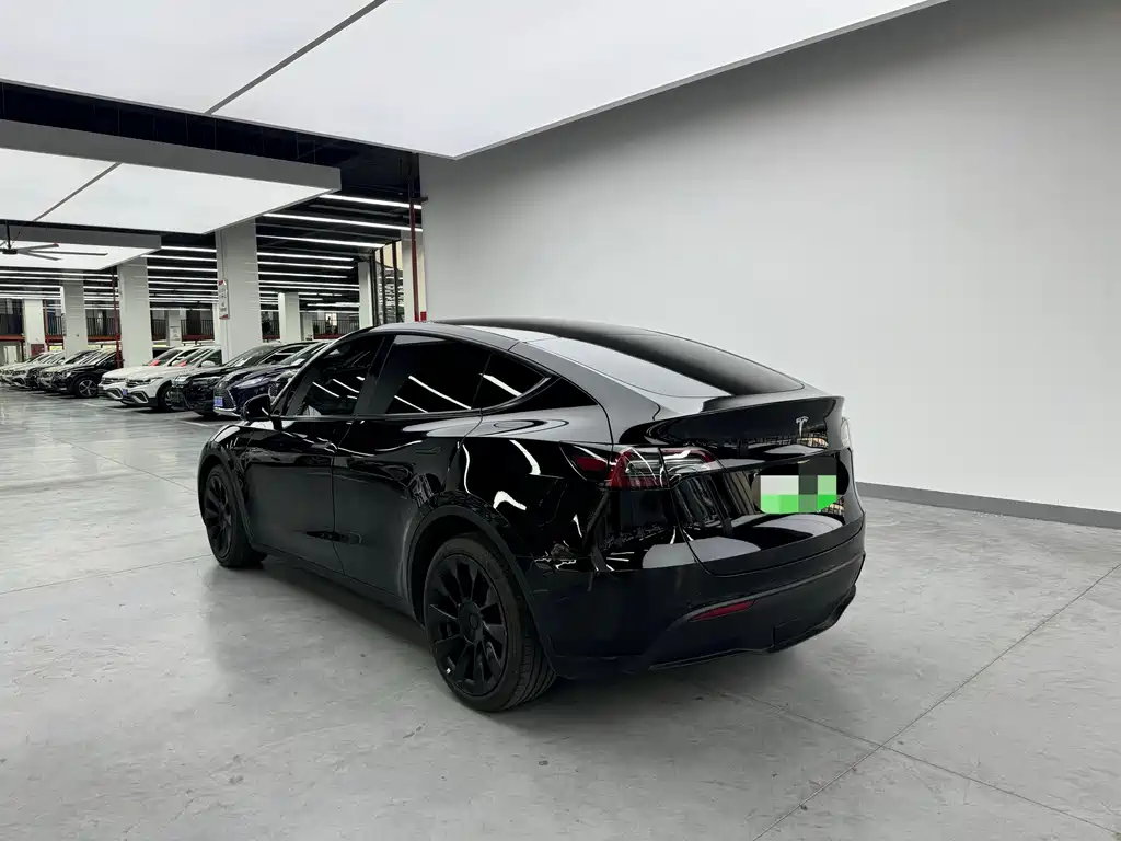 Tesla Model Y — миниатюра 15