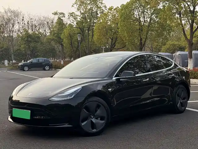 TESLA MODEL 3 2020