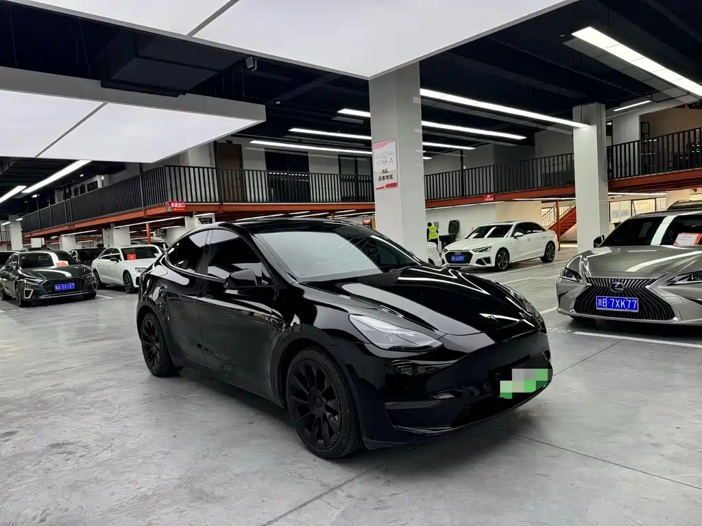Tesla Model Y — миниатюра 3