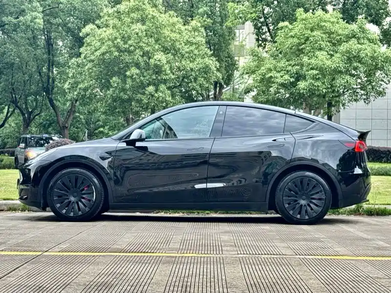 Tesla Model Y — миниатюра 11