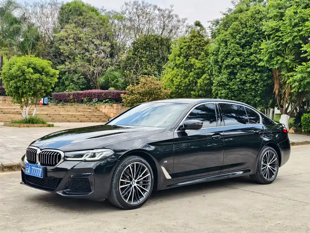 Купить BMW 5 Series