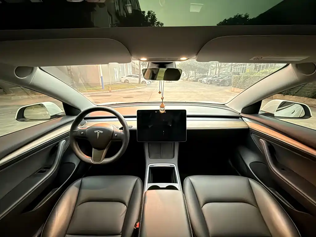 Tesla Model 3 — миниатюра 8