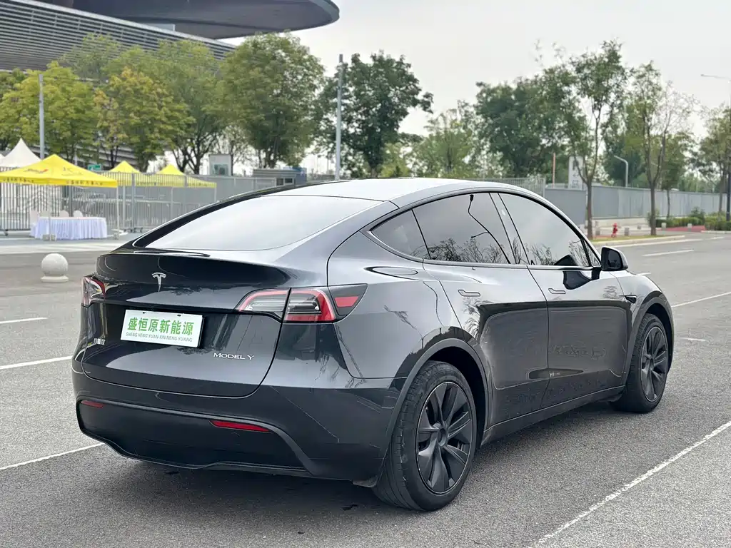 Tesla Model Y — миниатюра 15