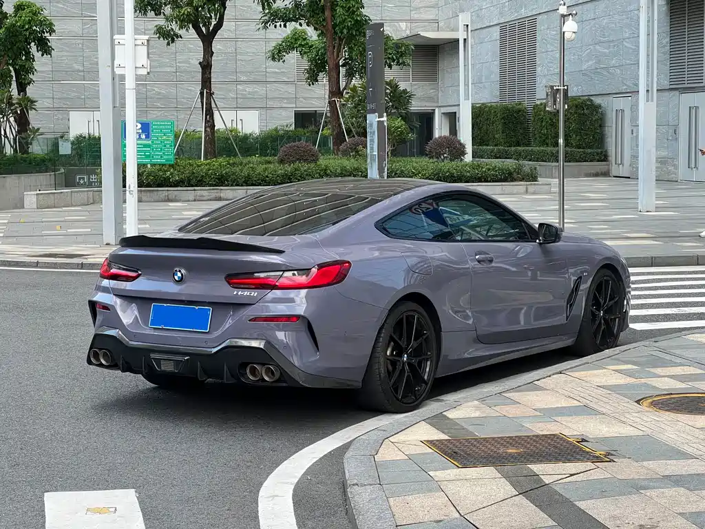 BMW 8 Series — миниатюра 9