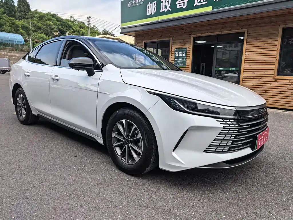 BYD Destroyer 05 2024 DM-i 55KM Luxury