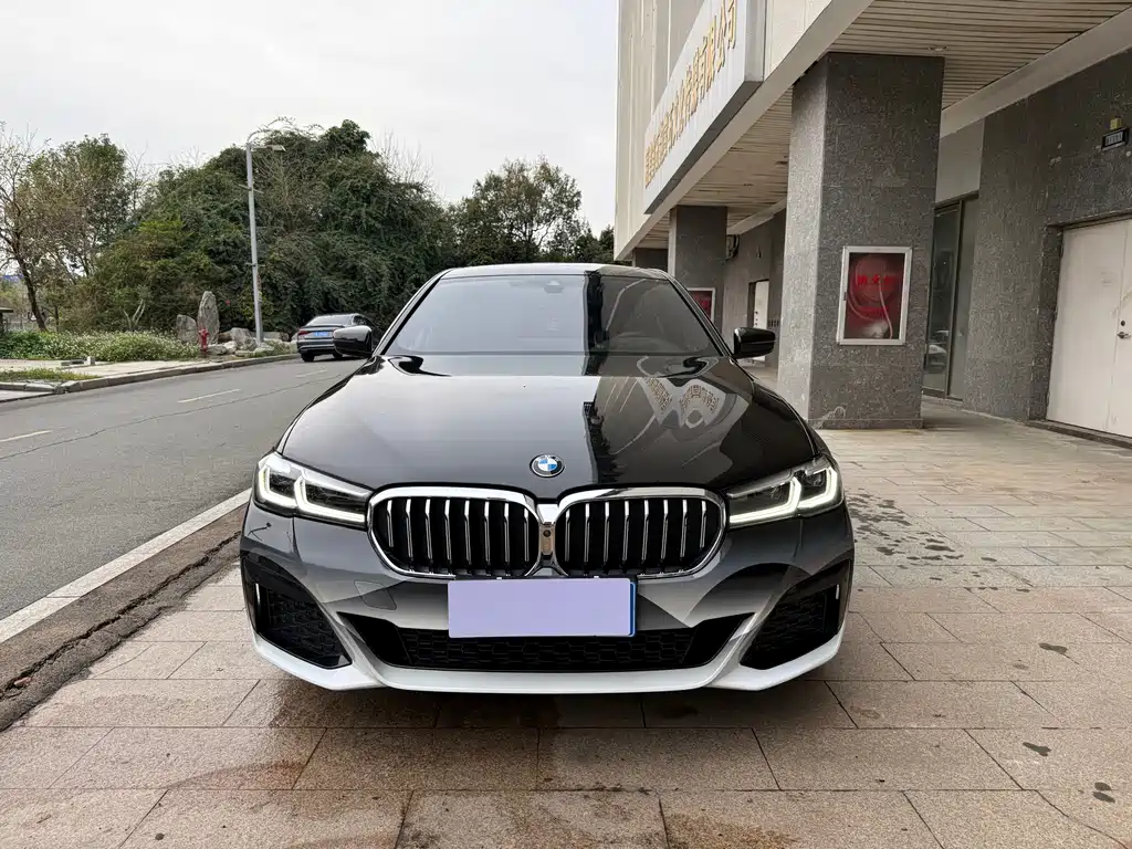 BMW 5 Series 5 2021 530Li Premium M Sport