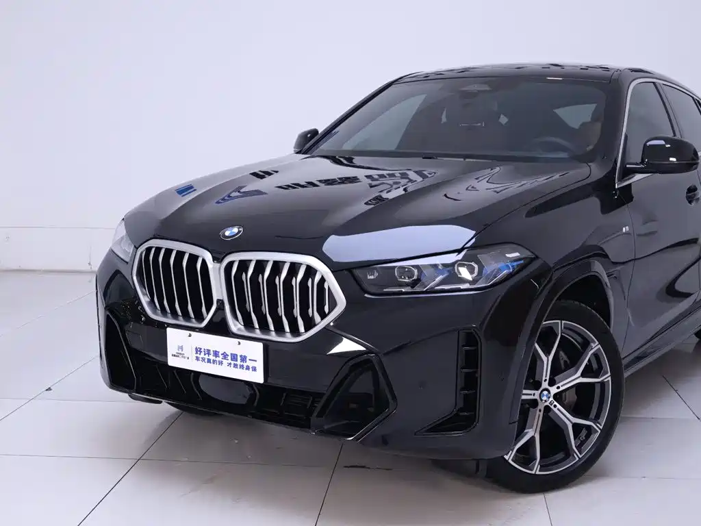 BMW X6 — миниатюра 3